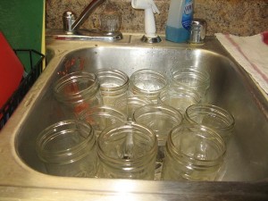 Jars in the sink awaiting boiling water and then hot salsa!  I didn't manage to take a final picture, but we ended up with 16 jars.  That should last us at least a month!