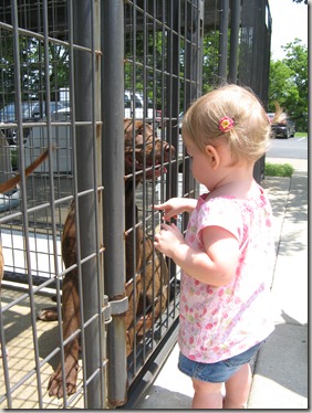 Humane Society - Field trip #1 009