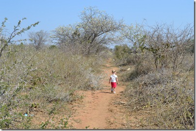 Bush Walk 095