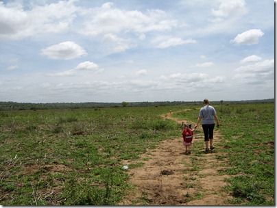 Bush walk 2 004