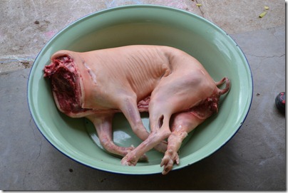 Pig Roast 036